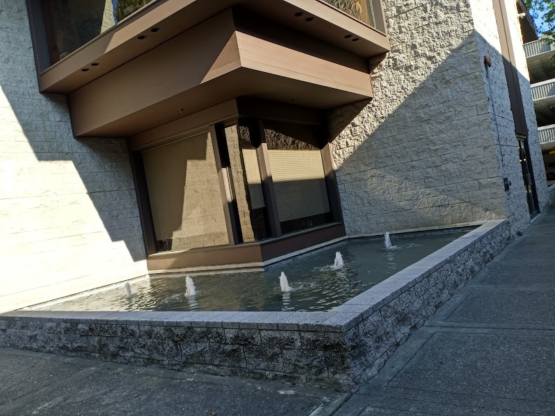 Gallery 300 photo 3