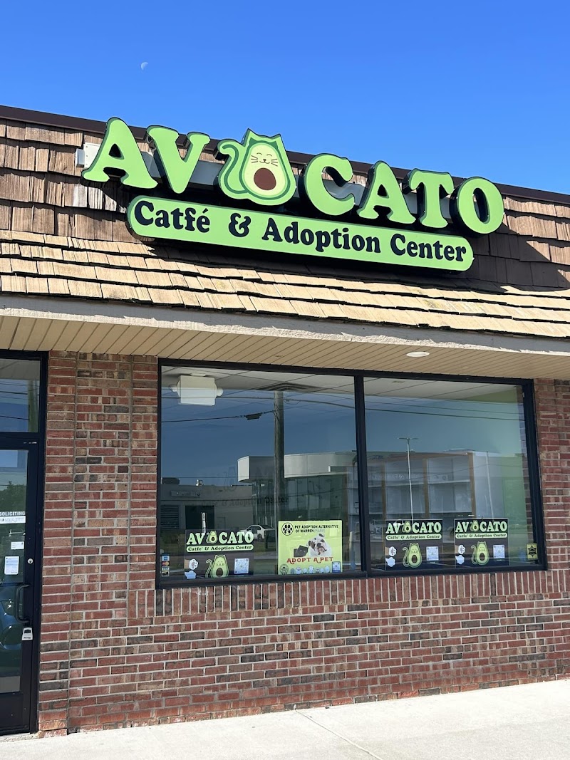 Photo of Avocato Catfe/PAAW