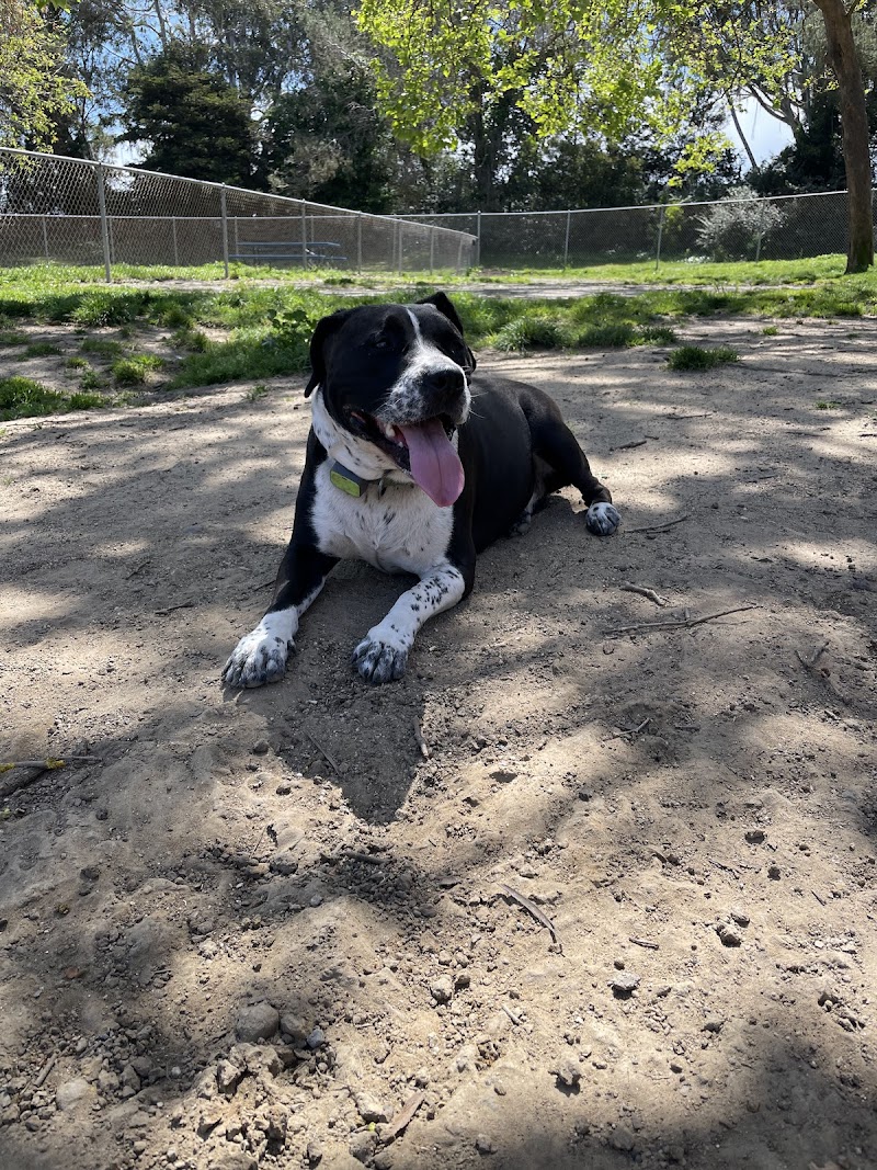 Photo of Commodore Dog Park