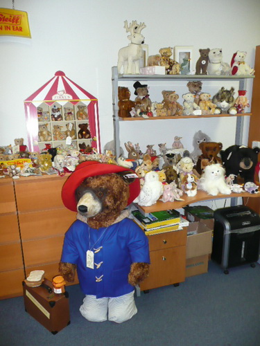 Bear Attack USA photo 5