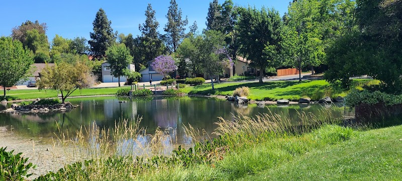 Turtle Creek photo 3