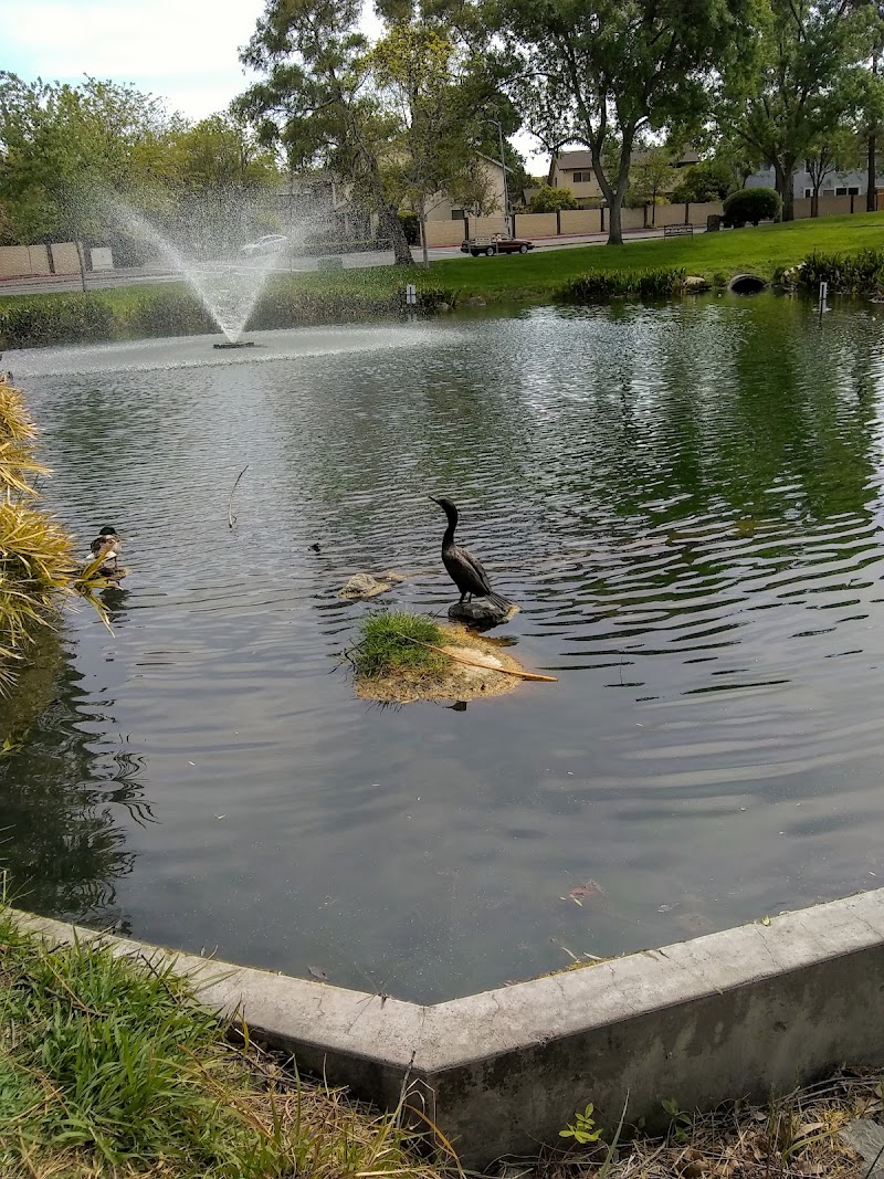 Photo of Turtle Creek
