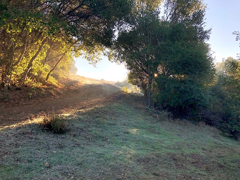 Redwood Rangers Horse Pasture photo 5
