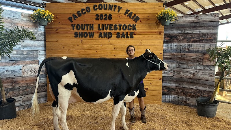 Champions Choice Feeds photo 4