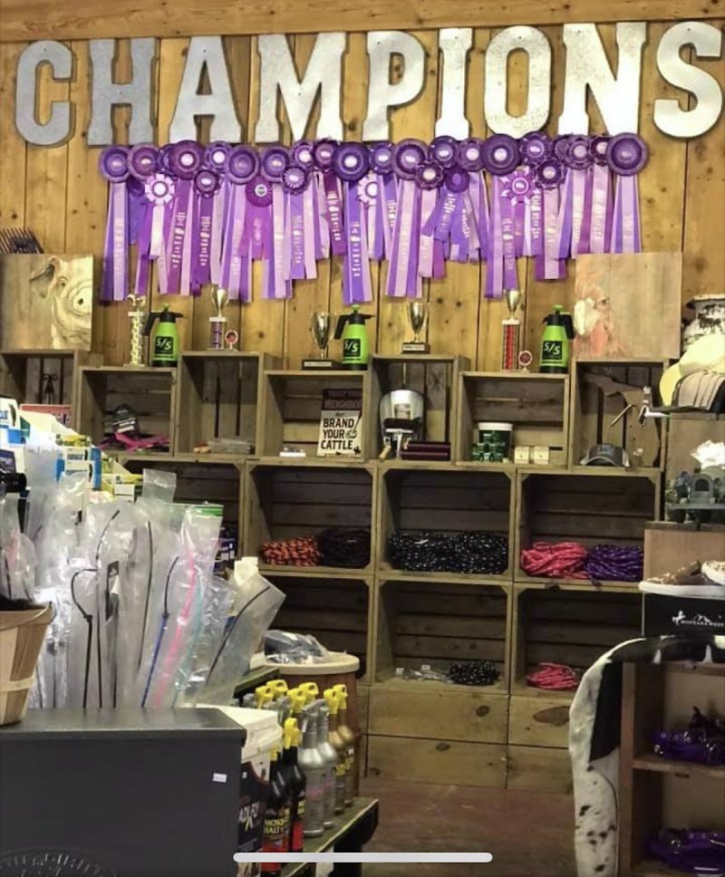 Champions Choice Feeds photo 2