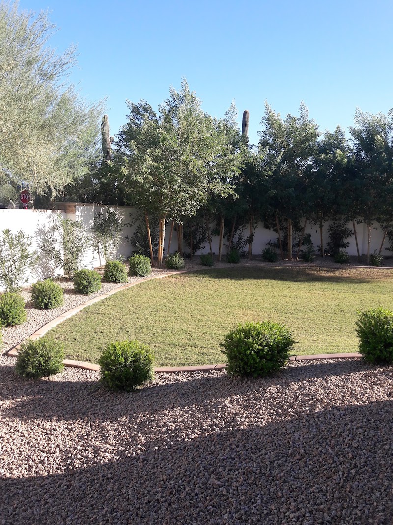 Photo of Temple Solel