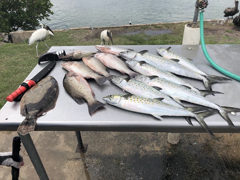 Inshore Society Fishing Charters - Tampa Bay photo 2