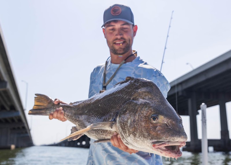 Inshore Society Fishing Charters - Tampa Bay photo 5