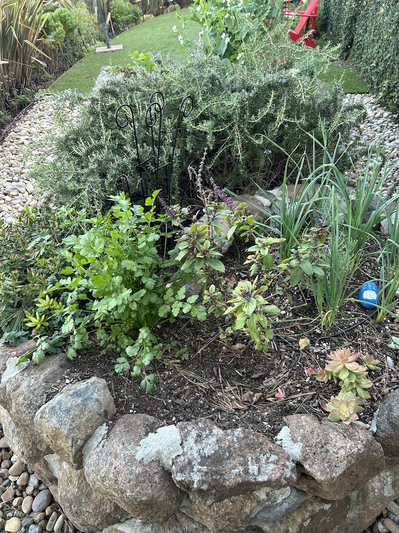 Cure Soil Compost, Inc. photo 5