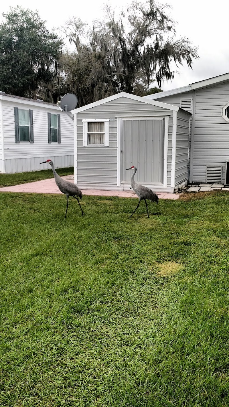 Photo of Robinson Orange Park