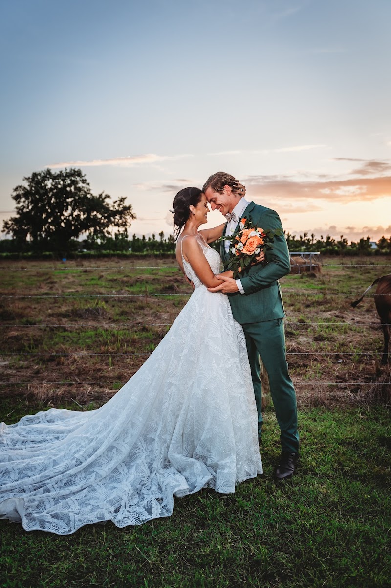 Happy Hearts Barn photo 2