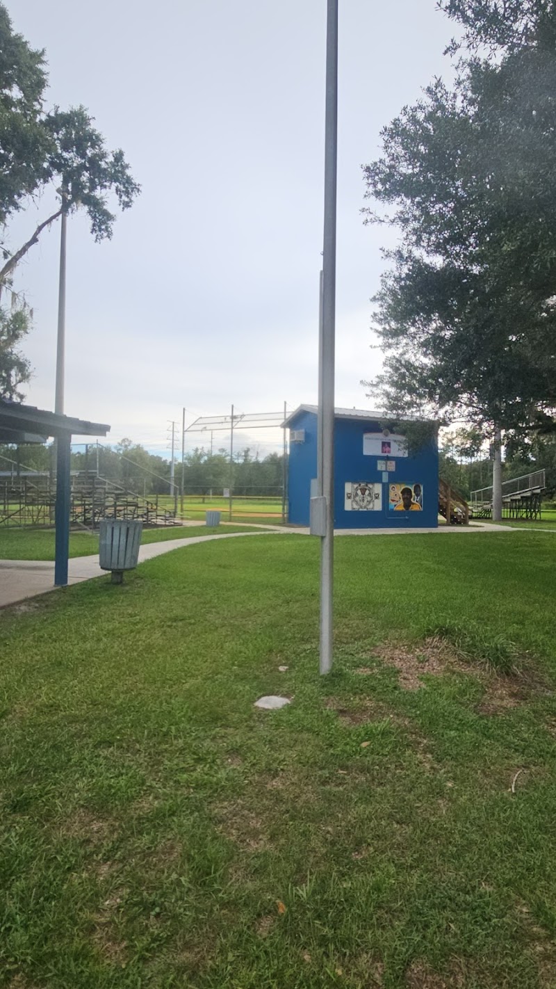 Hamilton Park Little League, Brooksville Florida photo 3