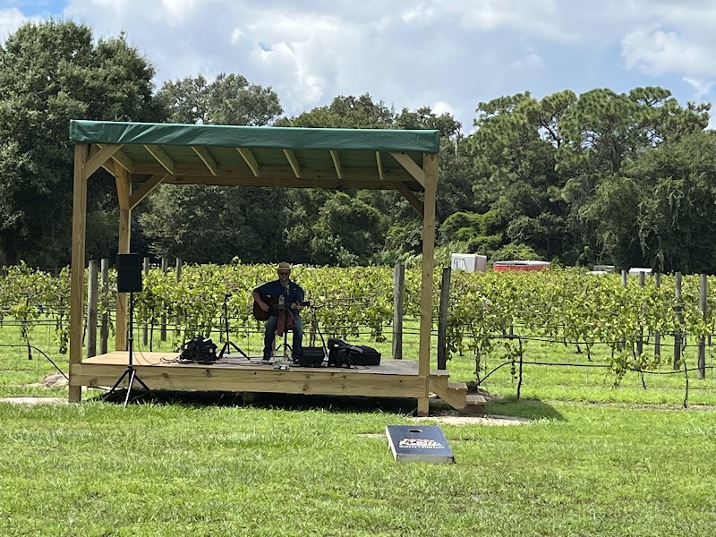 Fiorelli Winery photo 4