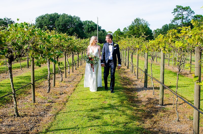 Fiorelli Winery photo 3