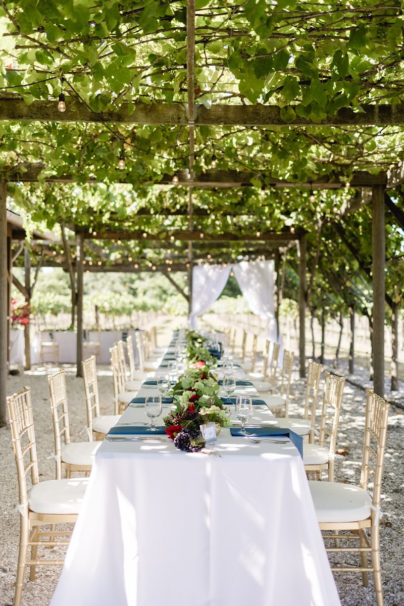 Photo of Fiorelli Winery