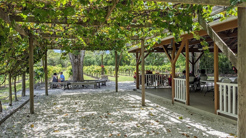Fiorelli Winery photo 2