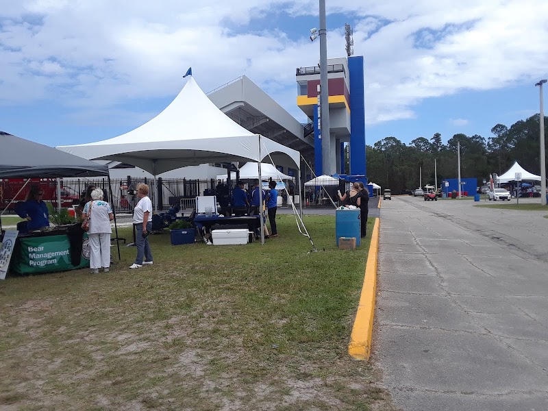 Daytona Stadium photo 5