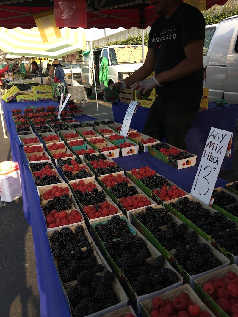 Belmont Farmers' Market photo 2