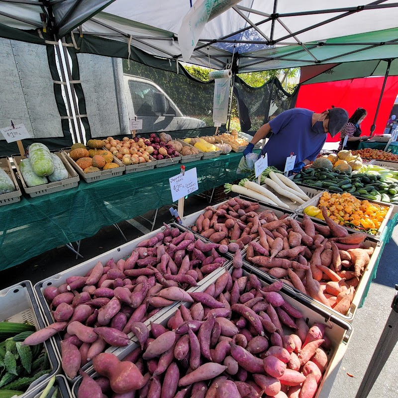 Belmont Farmers' Market photo 4