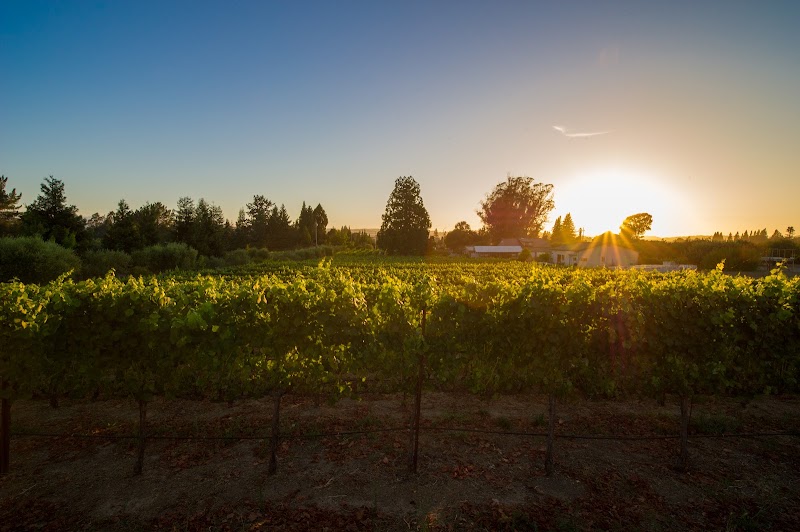Furthermore Wines Sebastopol Tasting Room & Courtyard photo 2