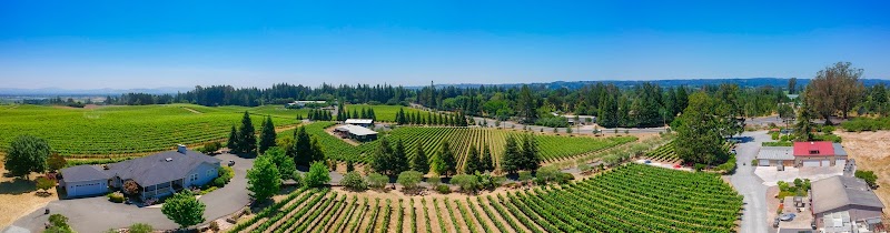 Photo of Furthermore Wines Sebastopol Tasting Room & Courtyard