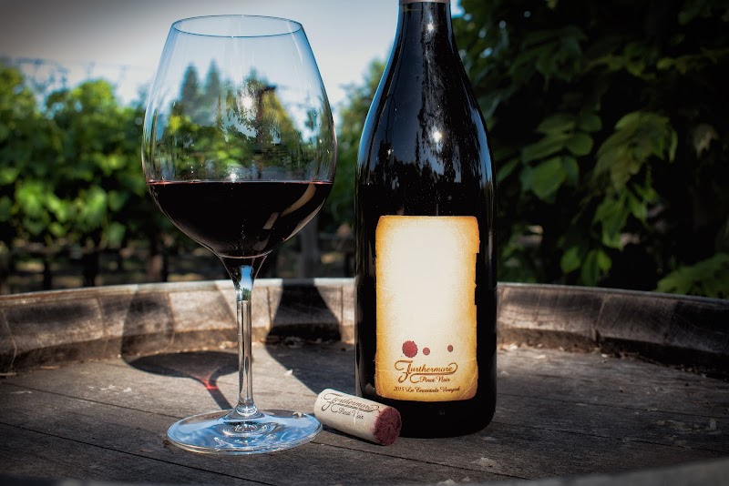 Furthermore Wines Sebastopol Tasting Room & Courtyard photo 3