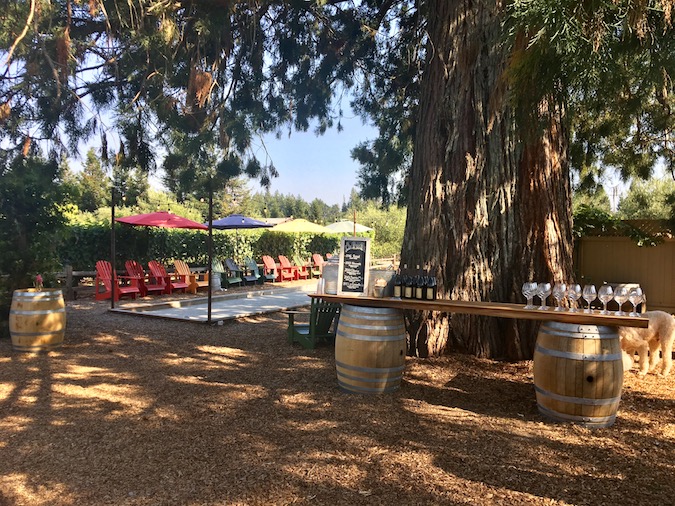 Furthermore Wines Sebastopol Tasting Room & Courtyard photo 4