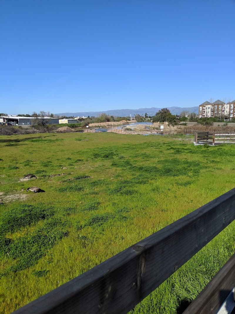 Photo of Almaden Lake Bridge