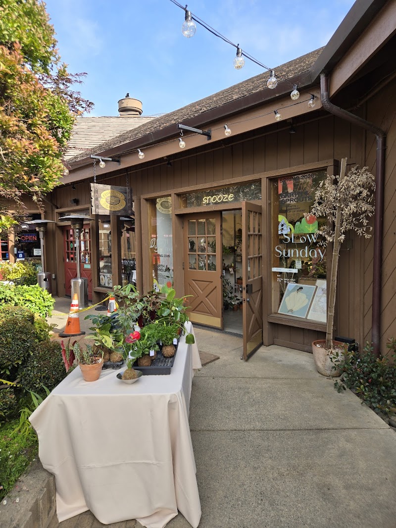 Photo of Historic Saratoga Village