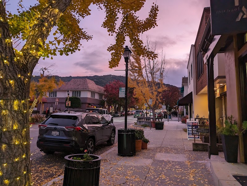 Historic Saratoga Village photo 3