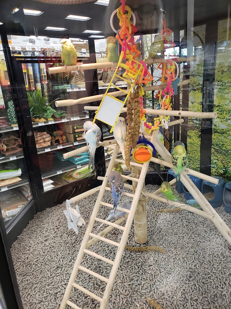 Petco photo 5