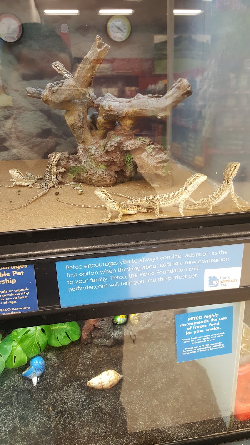 Petco photo 4