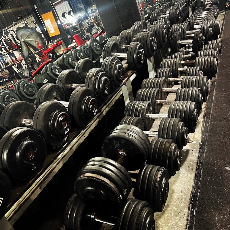 PROGEAR GYM photo 2