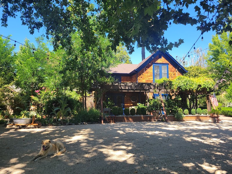 Photo of Canard Vineyard