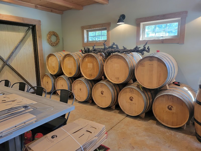 Canard Vineyard photo 2