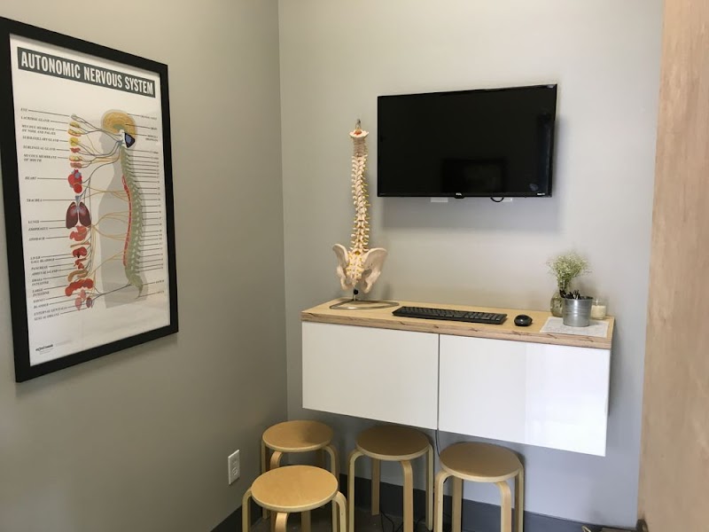 The Movement Chiropractic photo 4