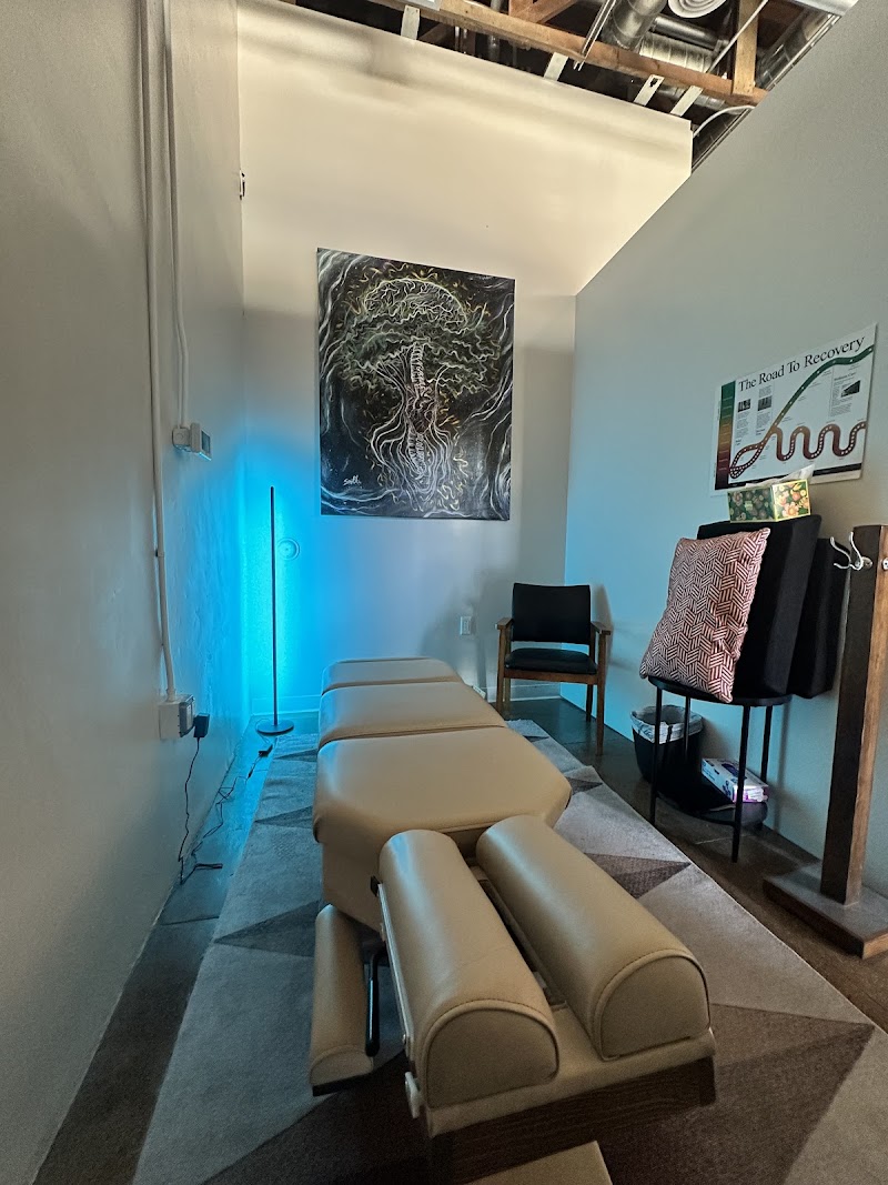 Alma Sana Chiropractic Studio photo 5