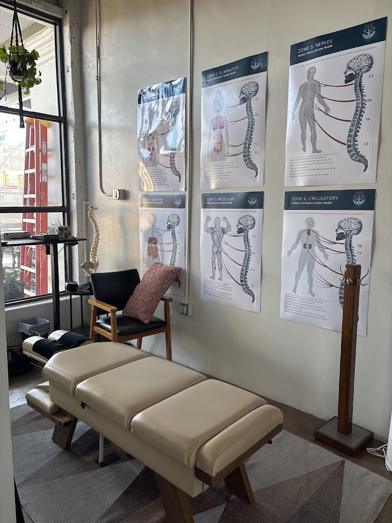 Alma Sana Chiropractic Studio photo 2