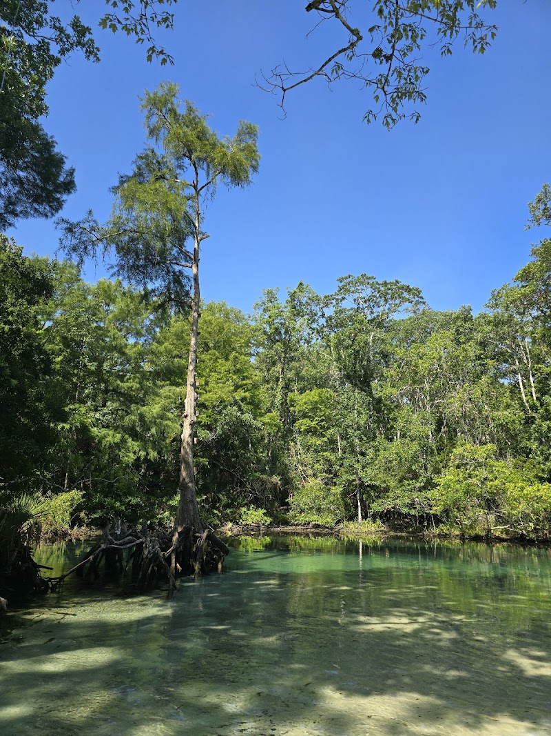 Weeki Wachee Wildlife Management Area photo 2