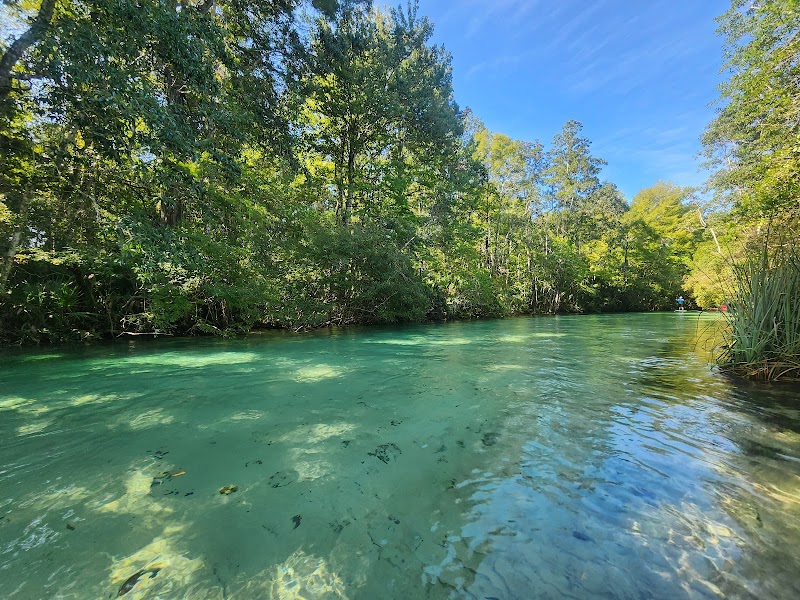 Photo of Weeki Wachee Wildlife Management Area