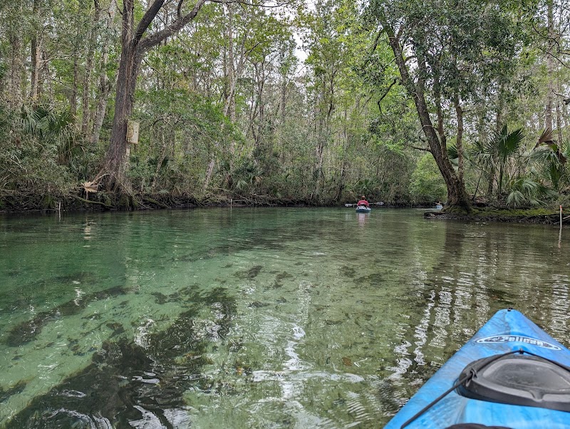 Weeki Wachee Wildlife Management Area photo 3