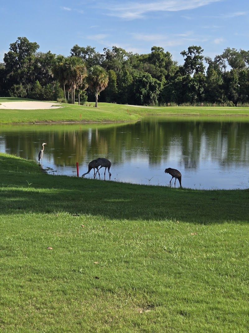 Sweet Gum Executive Golf Course photo 3