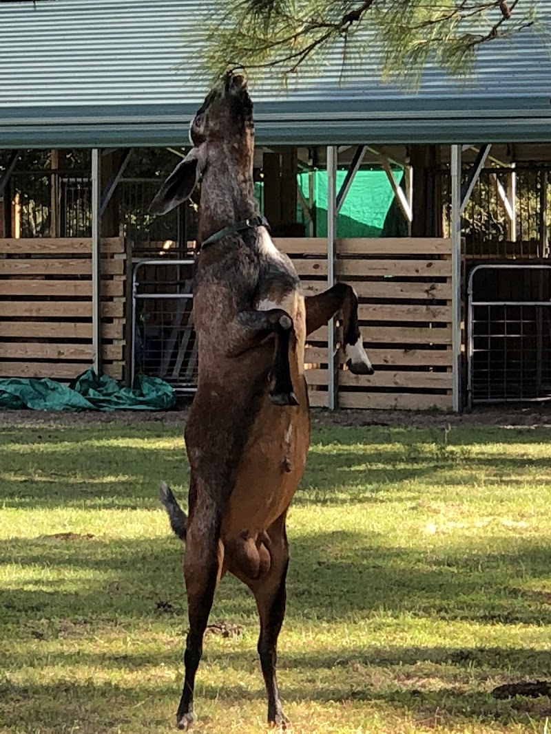 Photo of Crimson Sky Ranch