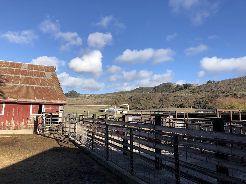 Bar None Ranches photo 2