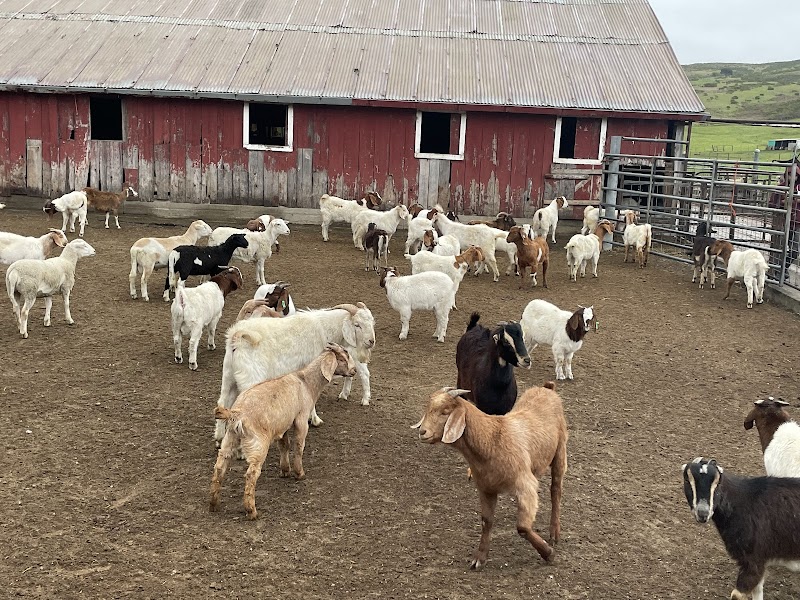 Photo of Bar None Ranches