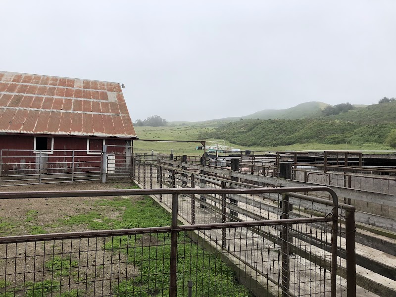 Bar None Ranches photo 5