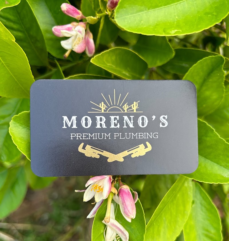 Moreno’s Premium Plumbing LLC photo 2