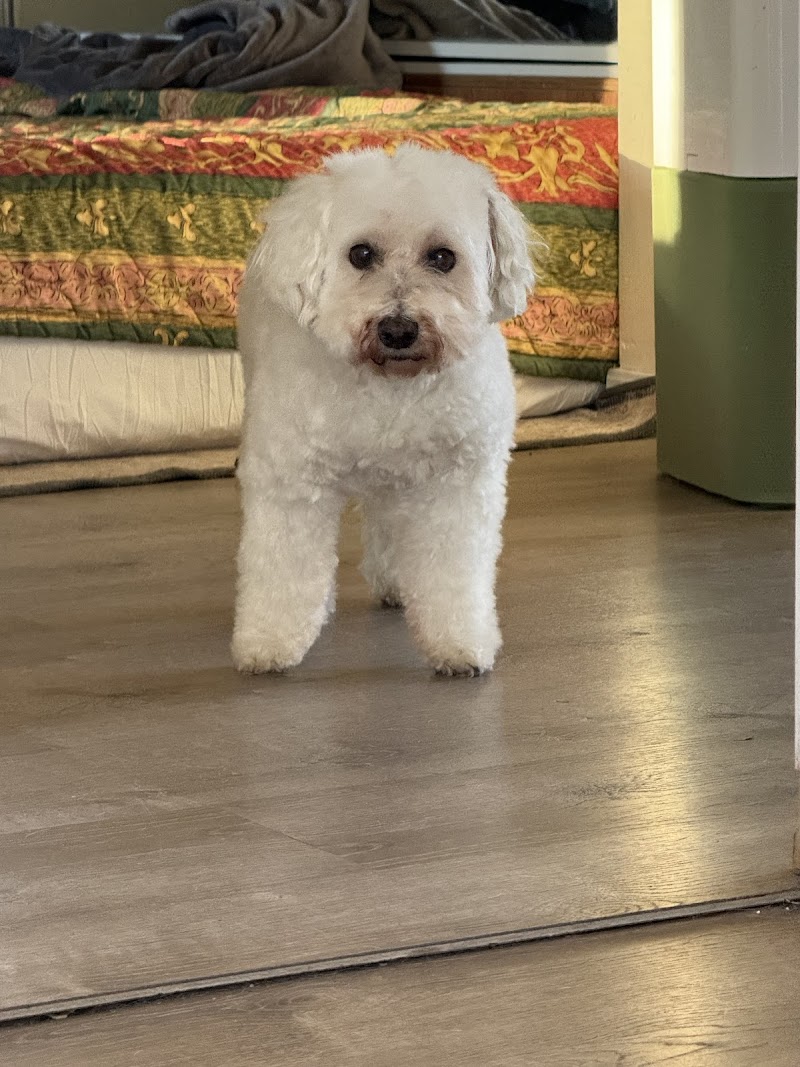 Chino Valley Animal Hospital photo 5