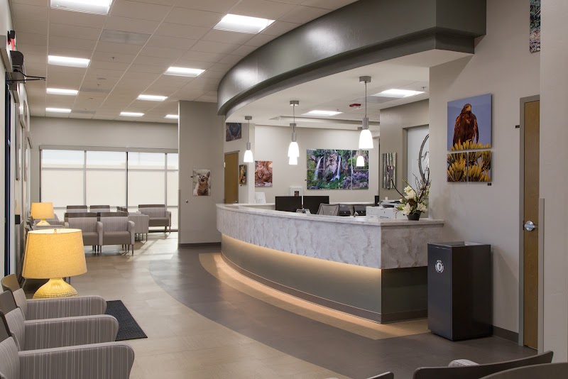 Dental Excellence photo 2