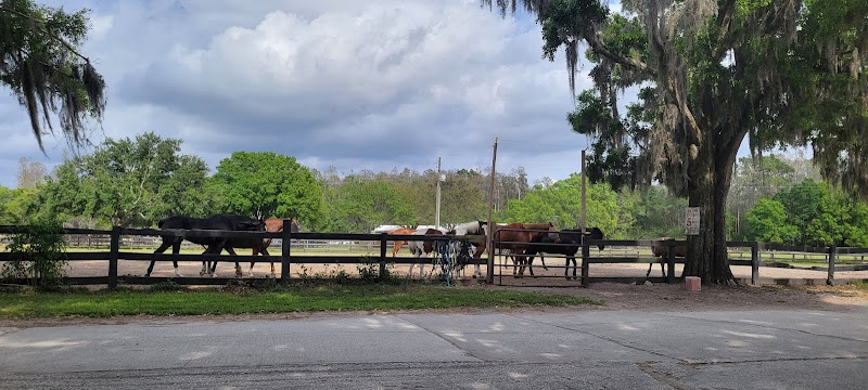 Photo of Bristol Rose Equestrian